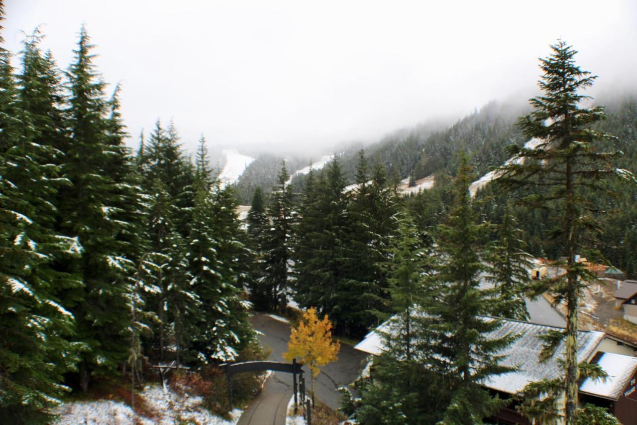 Crystal Chalets Greenwater エクステリア 写真