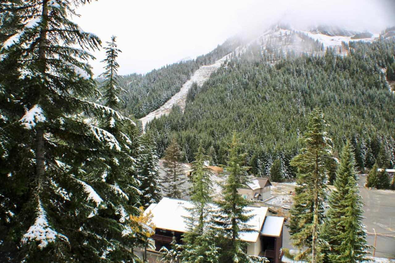 Crystal Chalets Greenwater エクステリア 写真