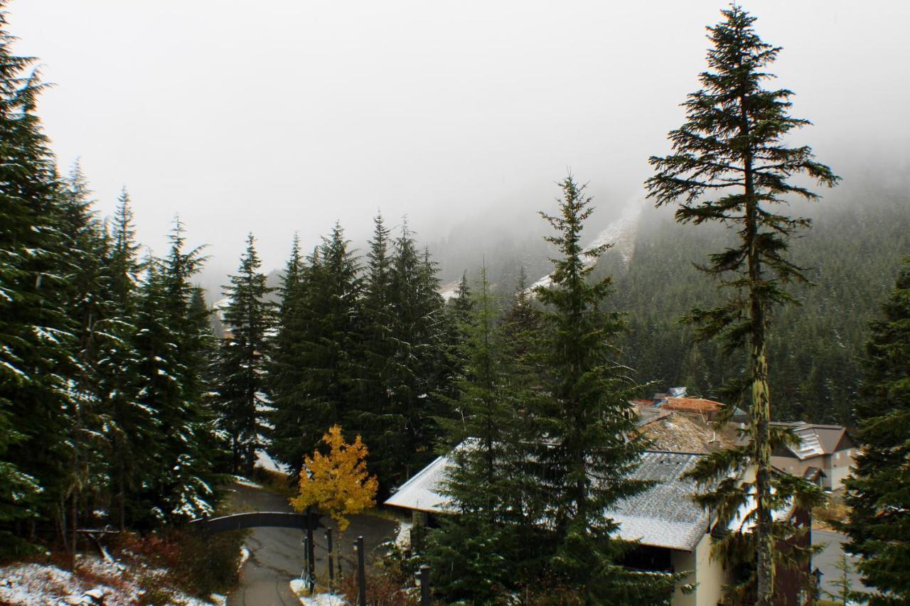 Crystal Chalets Greenwater エクステリア 写真