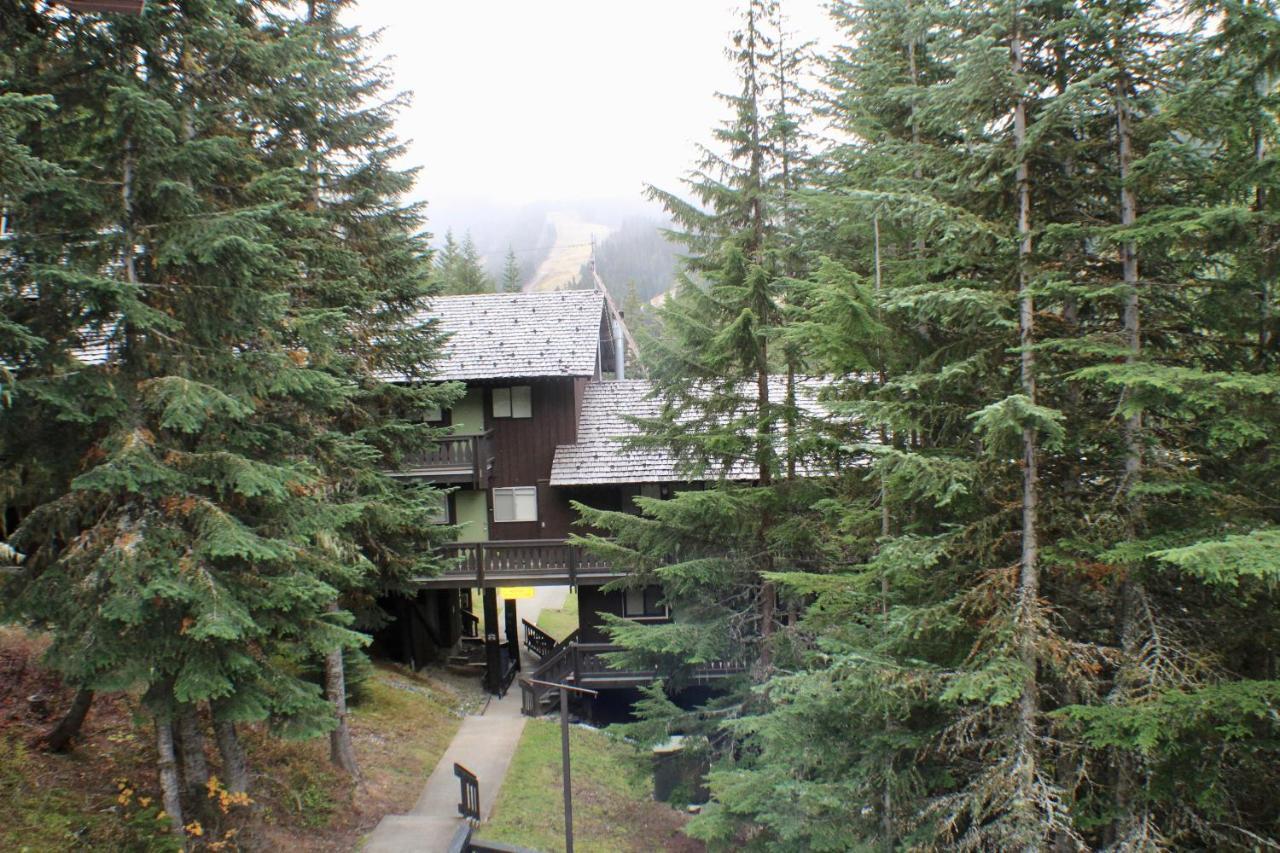 Crystal Chalets Greenwater エクステリア 写真